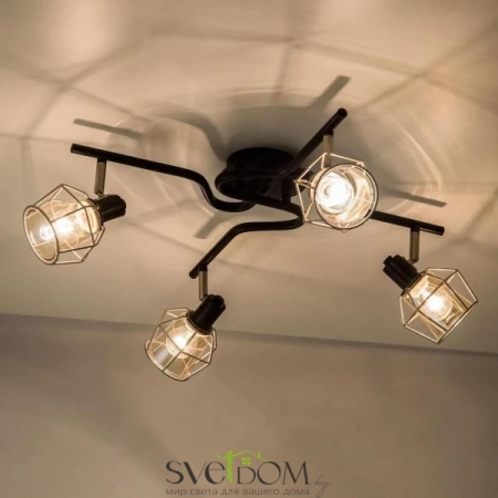 Люстры потолочныеCL542541 CITILUX | Svetdom.by