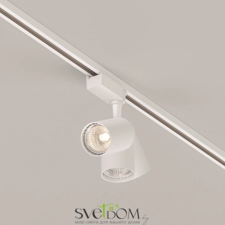 TR003-1-10W3K-S-W Maytoni