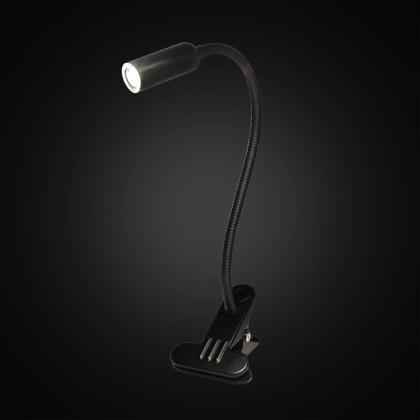 Лампа на прищепке Citilux Ньютон CL803061N CITILUX