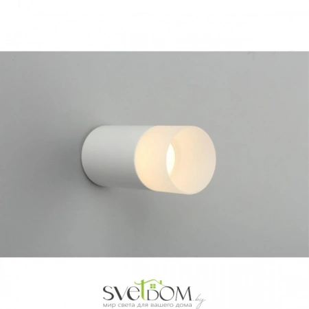 Накладные светильники Omnilux OML-100609-01 от Магазина Svetdom.by