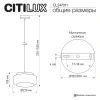 Подвесной светильник Citilux SIGNATURE CL247011 CITILUX