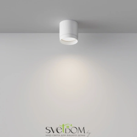 Потолочный светильник Technical C088CL-GX53-W Maytoni