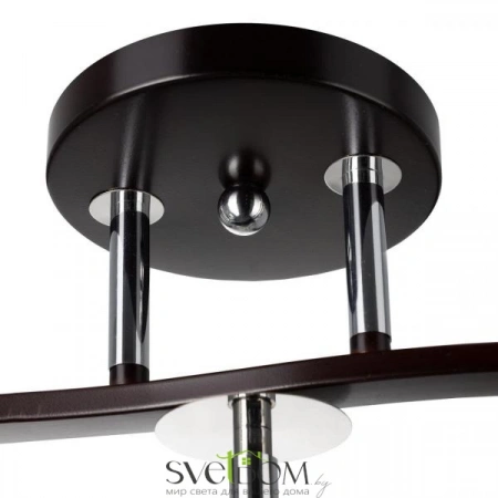 Люстры потолочныеCL156132 CITILUX | Svetdom.by