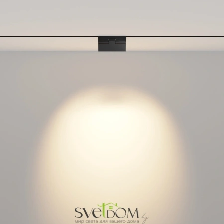 TR033-2-6W3K-B Maytoni