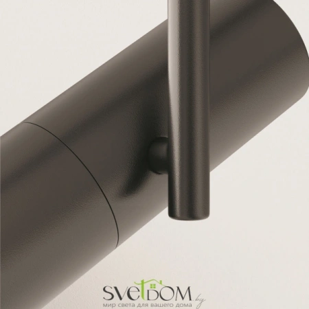 Фото Потолочные светильники Maytoni C020CL-01B Потолочные светильники Maytoni C020CL-01B от Магазина Svetdom.by