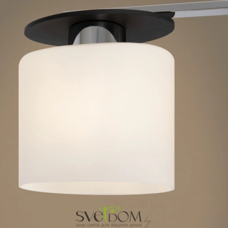 Светильники Freya FR5101-CL-03-CN от Магазина Svetdom.by