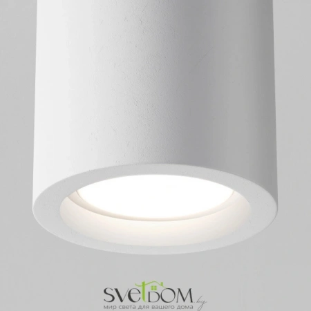 Потолочные светильники Maytoni C003CW-01W от Магазина Svetdom.by