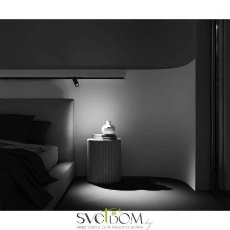 TR032-2-12W4K-M-BBS Maytoni