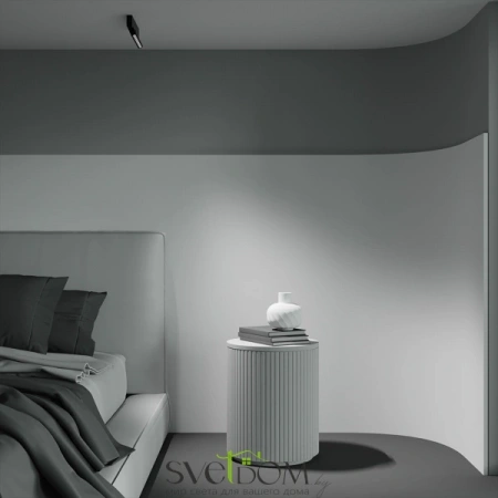 Потолочные светильники Maytoni C136CL-12W3K-B от Магазина Svetdom.by