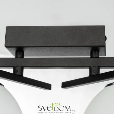 Потолочные светильники CITILUX CL223122 от Магазина Svetdom.by