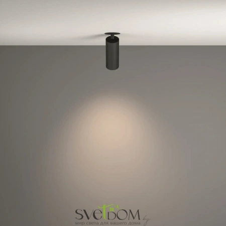 Потолочные светильники Maytoni C053CL-L12W4K-W-B от Магазина Svetdom.by