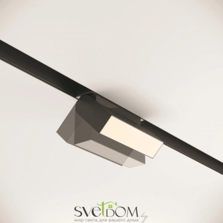 TR013-2-10W3K-B Maytoni