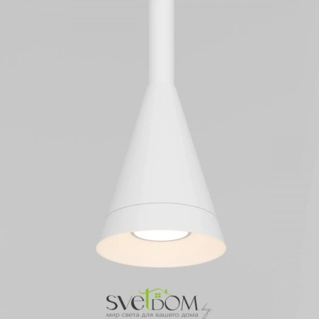 Подвесные светильники Maytoni P064PL-01W-1 от Магазина Svetdom.by