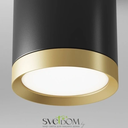 Потолочный светильник Technical C086CM-GX53-MRD-BG Maytoni
