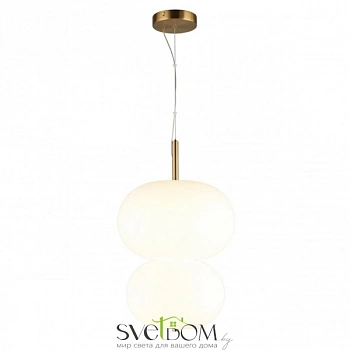 Светильник подвесной Aployt  APL.646.06.20