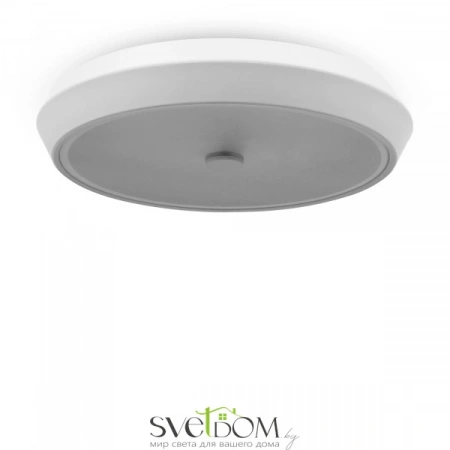 Фото Светильники Freya FR10012CL-L24W Светильники Freya FR10012CL-L24W от Магазина Svetdom.by