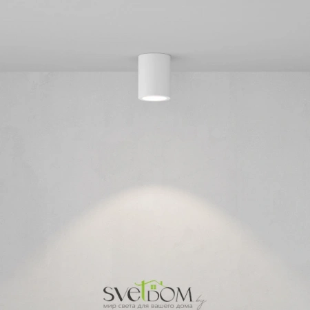 Потолочные светильники Maytoni C001CL-GU10-W от Магазина Svetdom.by