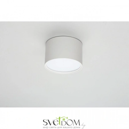 Накладные светильники Omnilux OML-103309-06 от Магазина Svetdom.by