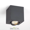 CL538213 CITILUX