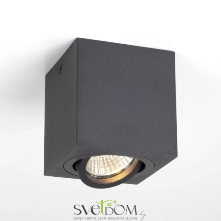 CL538213 CITILUX
