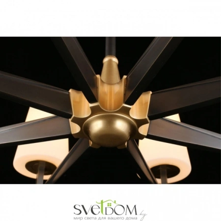 Люстры потолочныеAPL.803.07.08 Aployt | Svetdom.by