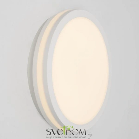 Накладные светильники CITILUX CL711010V от Магазина Svetdom.by