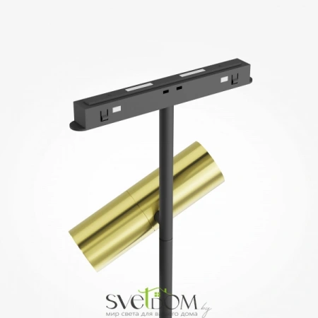 TR005-2-2X12W3K-BBS Maytoni