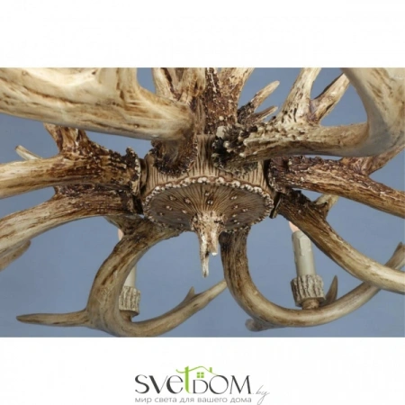 Люстры подвесныеOML-52003-08 Omnilux | Svetdom.by