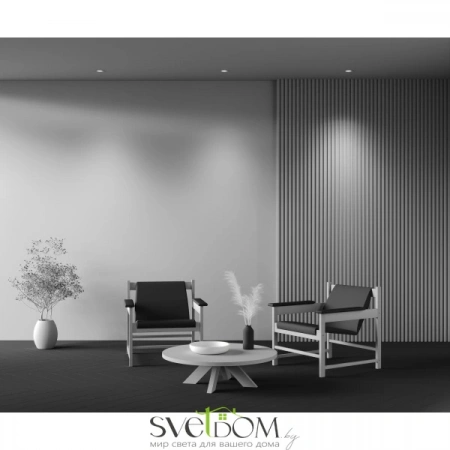 Встраиваемые светильники Maytoni DL094-GU10-W от Магазина Svetdom.by