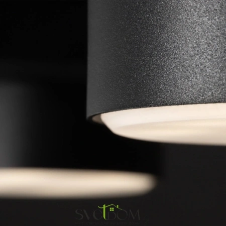 Потолочные светильники Freya FR5363CL-02B от Магазина Svetdom.by