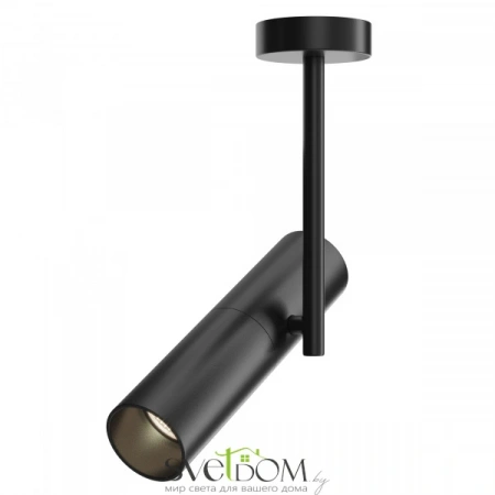 Потолочные светильники Maytoni C020CL-01B от Магазина Svetdom.by