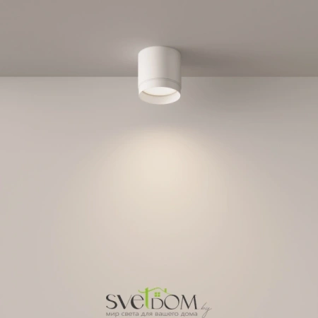 Потолочный светильник Technical C088CL-GX53-W Maytoni