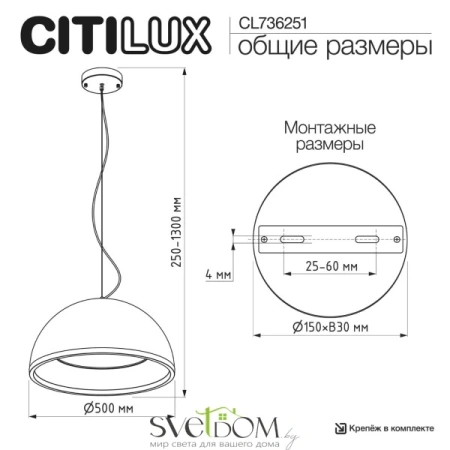 CITILUX CL736251 FLOOM Черный+Золото Светильник Подвесной CITILUX