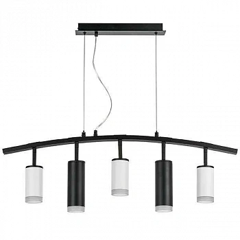 Lightstar LR7353638720 Люстра RULLO 5х50W GU10 ЧЕРНЫЙ/БЕЛЫЙ (571735+214436-3+214487-2+202430-5)