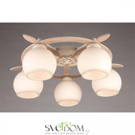 Люстры потолочныеOML-50517-05 Omnilux | Svetdom.by