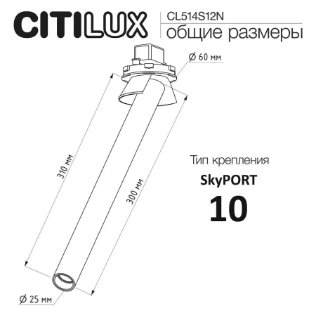 Встраиваемый поворотный спот Citilux STEK CL514S12N LED CITILUX