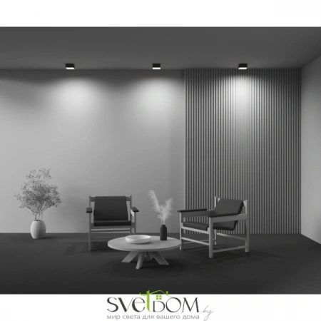 Потолочные светильники Maytoni C032CL-12W4K-SQ-B от Магазина Svetdom.by