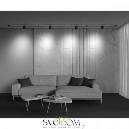 TR124B-12W4K-M-B Maytoni