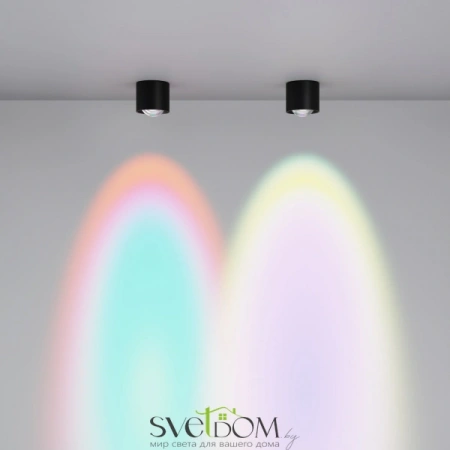 Потолочные светильники Maytoni C217CL-15W4K-B от Магазина Svetdom.by