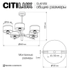 Люстра на штанге Citilux ALTON CL421252 CITILUX