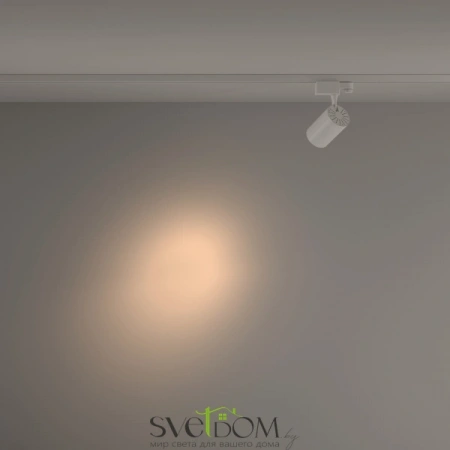 TR029-3-10W3K-S-W Maytoni