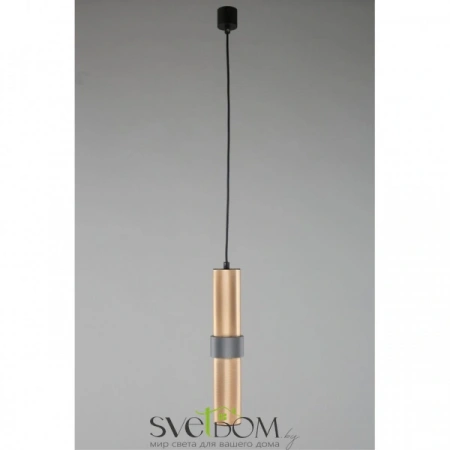 Подвесные светильники Aployt APL.614.16.01 от Магазина Svetdom.by