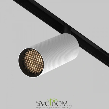 TR097-2-12W3K-M-BW Maytoni