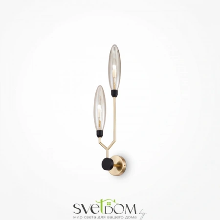 Настенные светильники MOD012WL-02G Maytoni | Svetdom.by