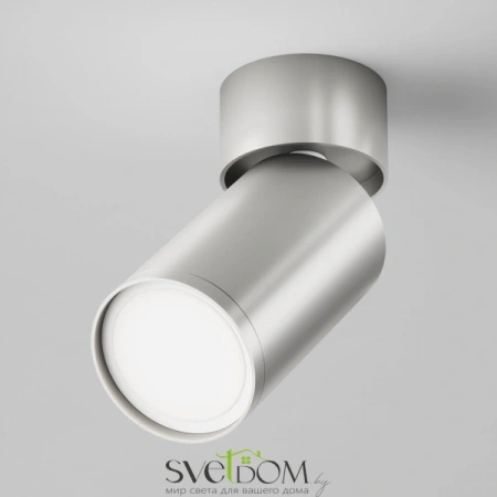 Потолочные светильники Maytoni C050CL-U-1S от Магазина Svetdom.by