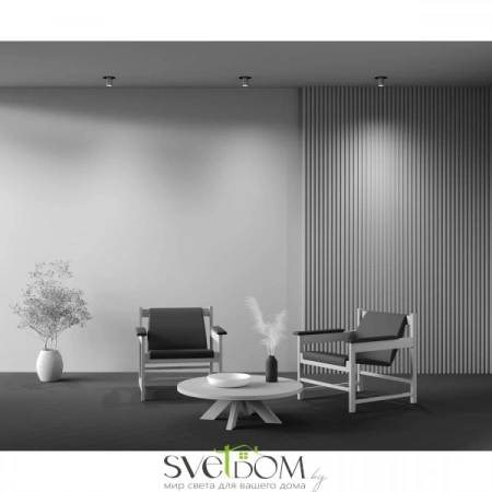 Потолочные светильники Maytoni C048CL-01-GU10-BBS от Магазина Svetdom.by