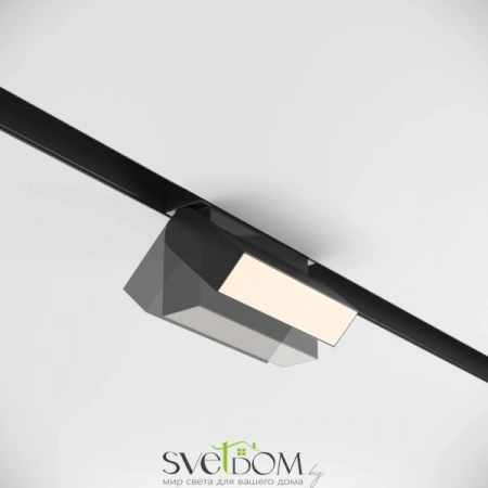 TR013-2-10W3K-B Maytoni