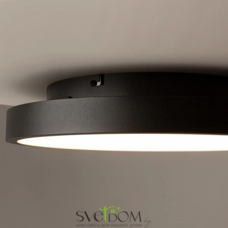 Потолочные светильники Maytoni MOD311CL-L27B3K от Магазина Svetdom.by