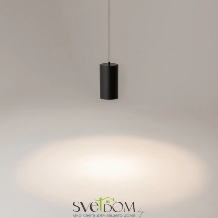 Подвесные светильники Maytoni P100PL-20W4K-B от Магазина Svetdom.by