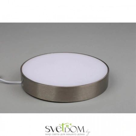 Настенно-потолочные светильники Aployt APL.0114.19.24 от Магазина Svetdom.by